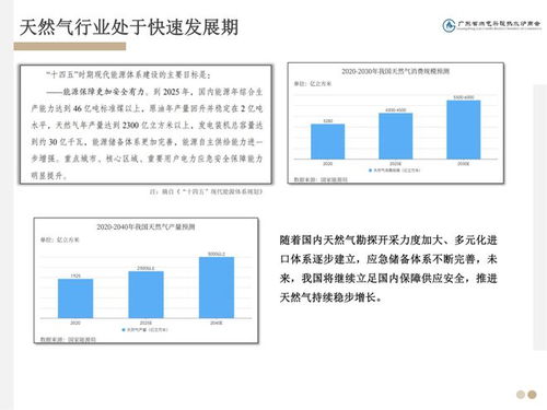 雙碳背景下的供熱革命 全預混冷凝爐技術推廣之路